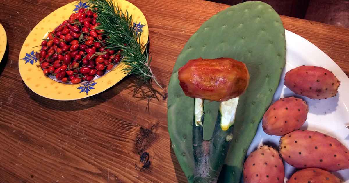 Kaktusfeigen essen: vor dem Essen richtig schälen