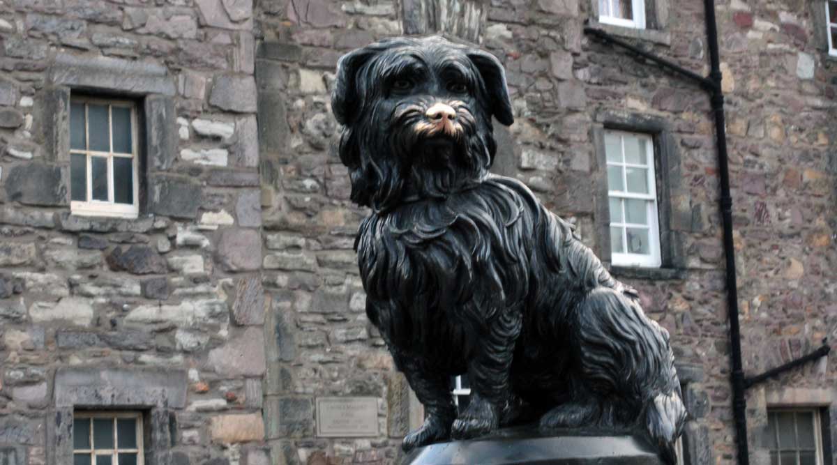 Hund Bobbie Edinburgh