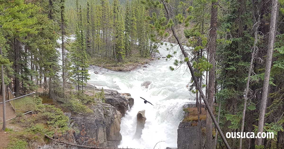 Athabasca Falls, Rocky Mountains