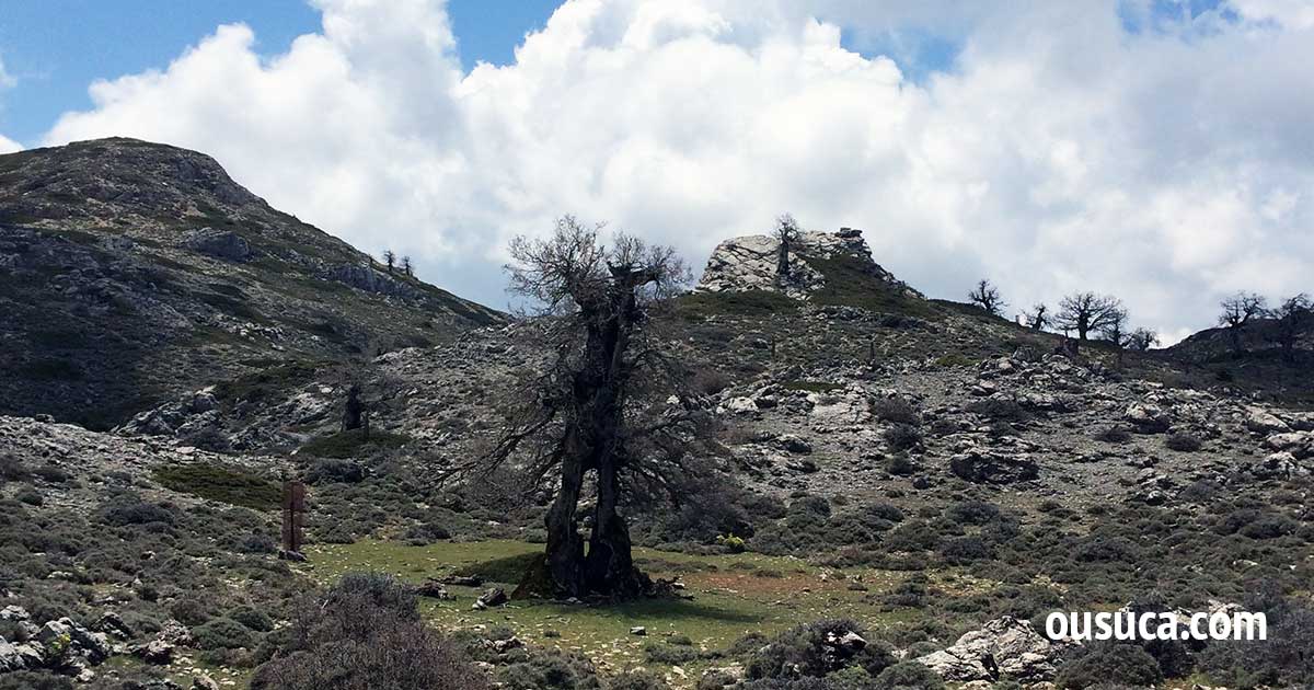 Wandern auf den Gipfel Torrecilla in Andalusien