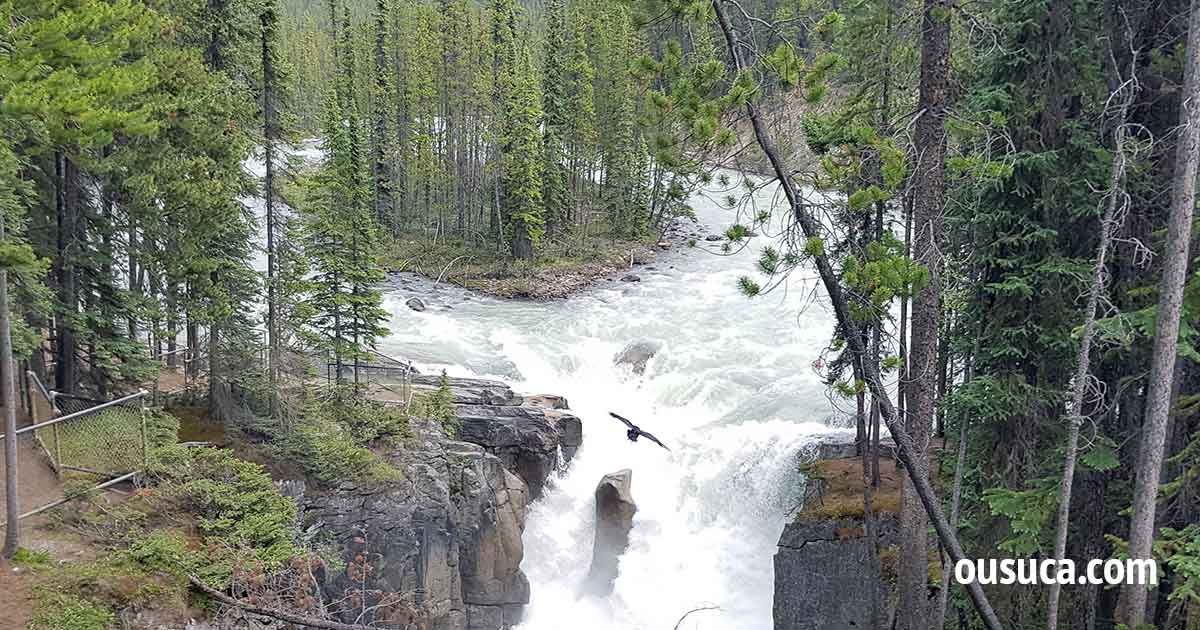 Jasper Nationalpark Kanada