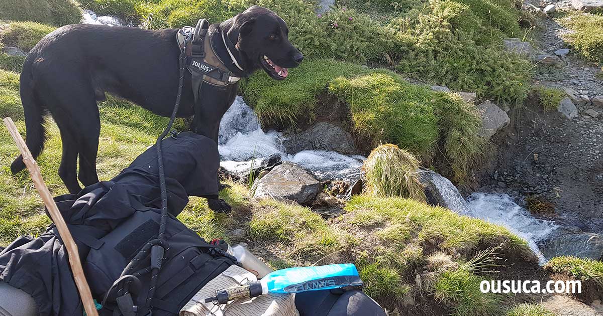 Trekking mit Hund, Trinkwasser unterwegs.