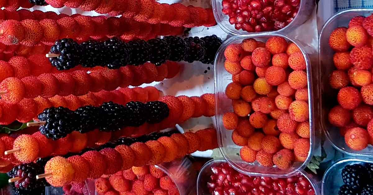 Erdbeerbaum Früchte, Madroños roh essen.