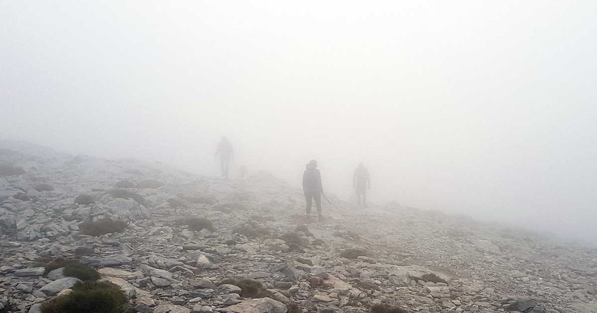Bei Nebel Wandern in Gruppen.