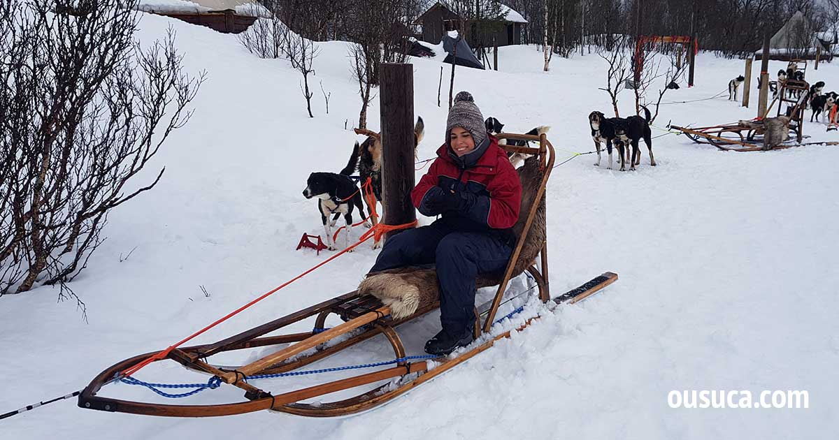 Hundeschlitten fahren in Norwegen, Tromsø.