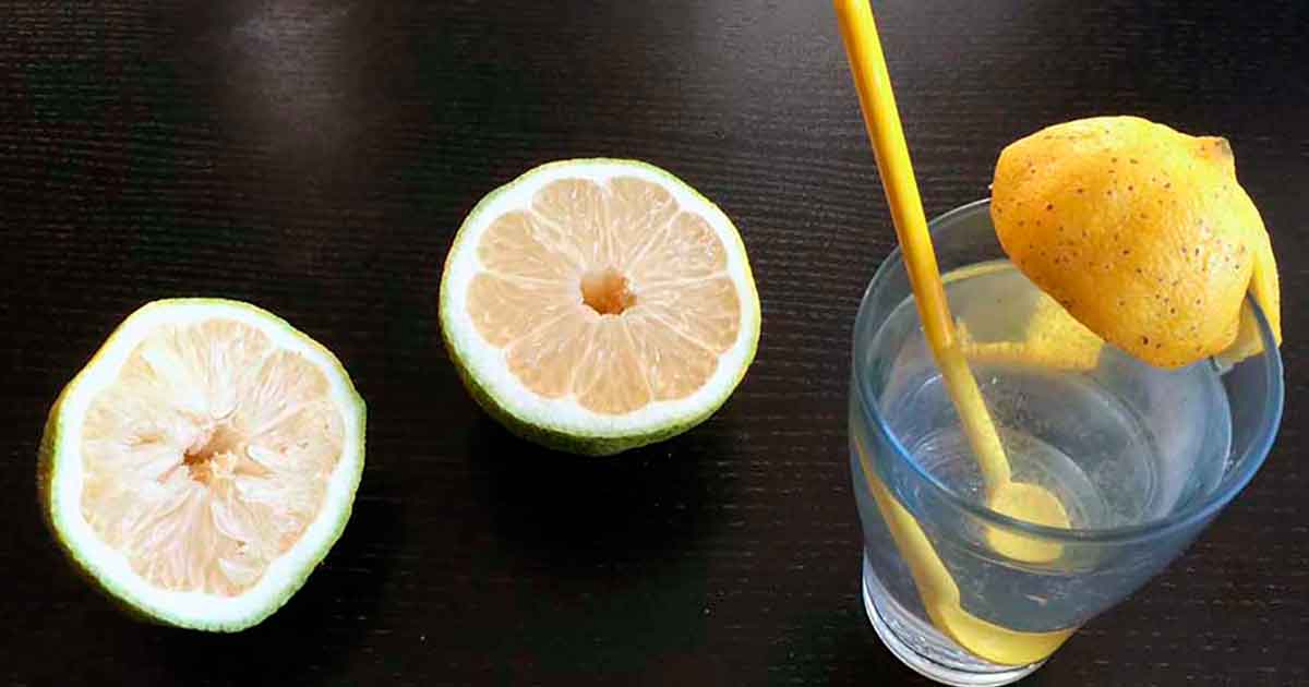 Durstlöscher selber machen: Zitronenwasser.