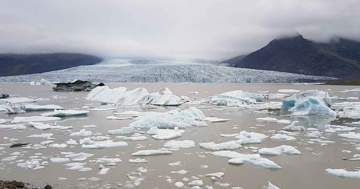 Fjallsárlón Gletschersee, Gletscherlagune