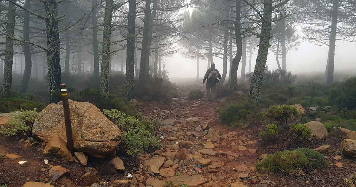 Sierra Bermeja und Pico Los Reales Estepona, Wanderweg.