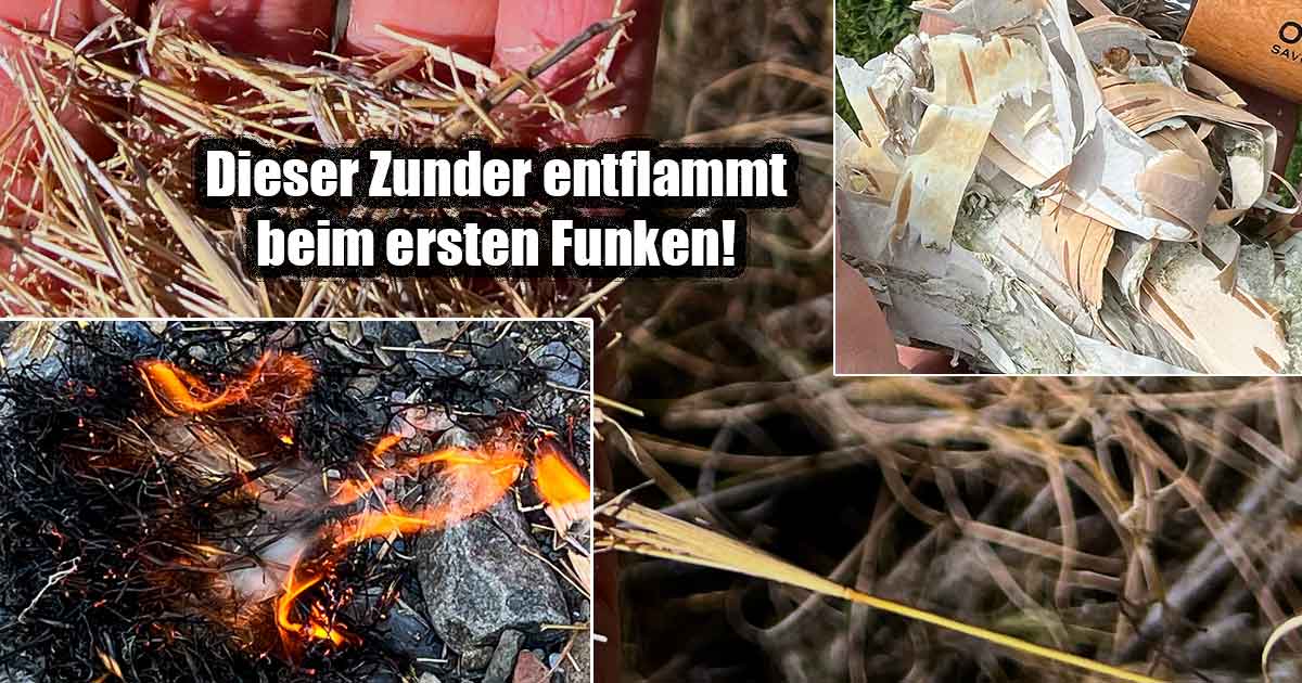 Zunder aus der Natur, der durch Funken entflammt wird