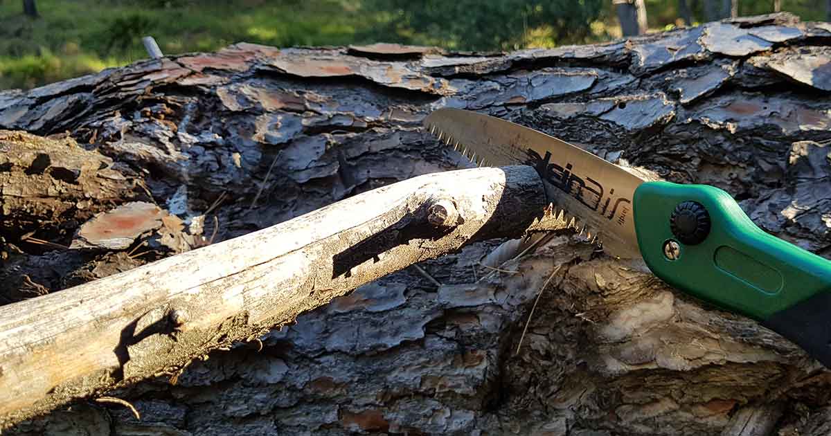 Tipp für trockenes Holz zum Feuer machen Outdoor