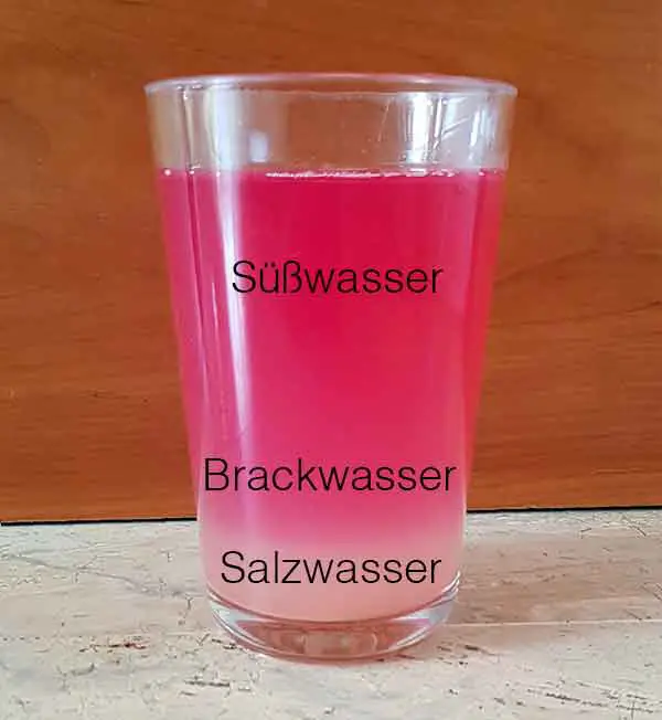Süßwasserlinsen Zusammensetzung Grafik: Süßwasser, Brackwasser, Salzwasser