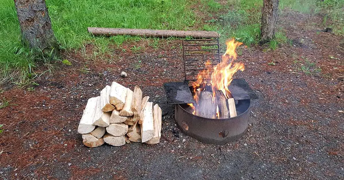 Verhalten im Wald: Feuer machen nur auf ausgeschriebenen Feuerplätzen