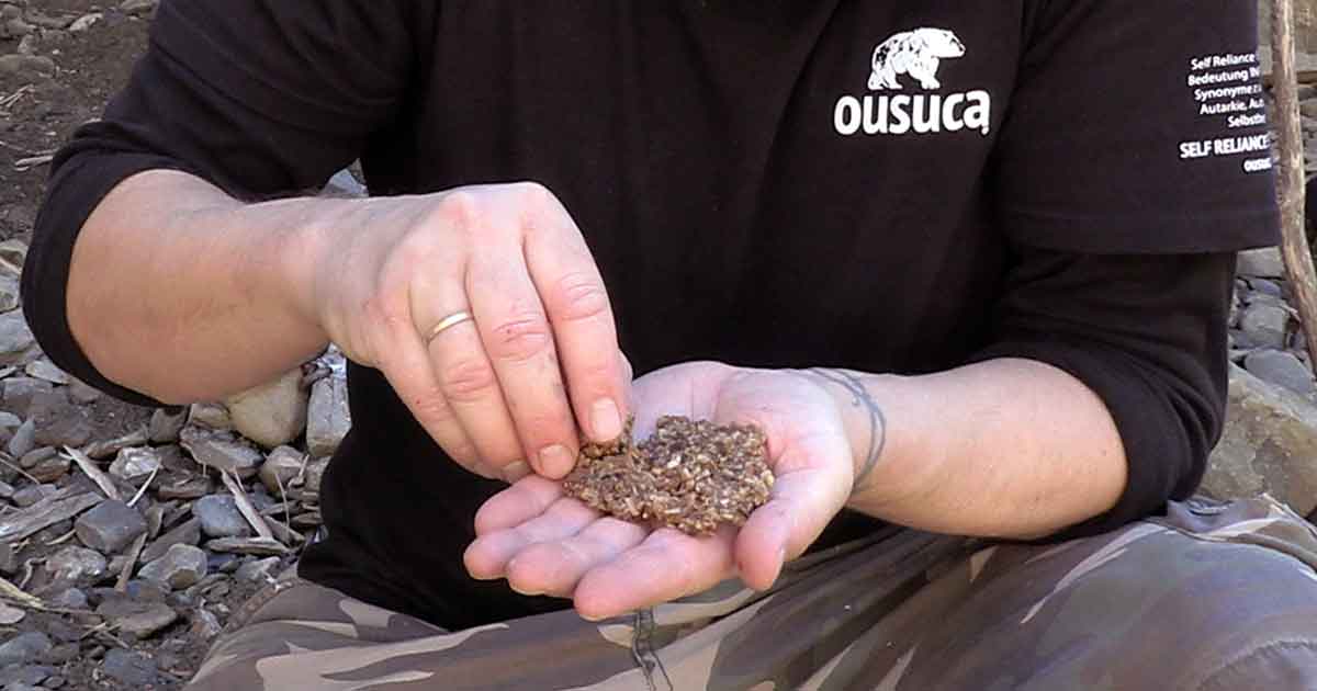 Eichelzwieback aus Eichelbrot herstellen durch zweifaches backen
