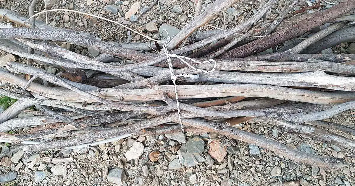 Arborknoten Verwendung zum Verschnüren eines Bündel Feuerholz