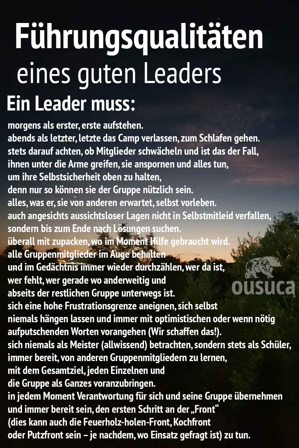 Führungsqualitäten Leader