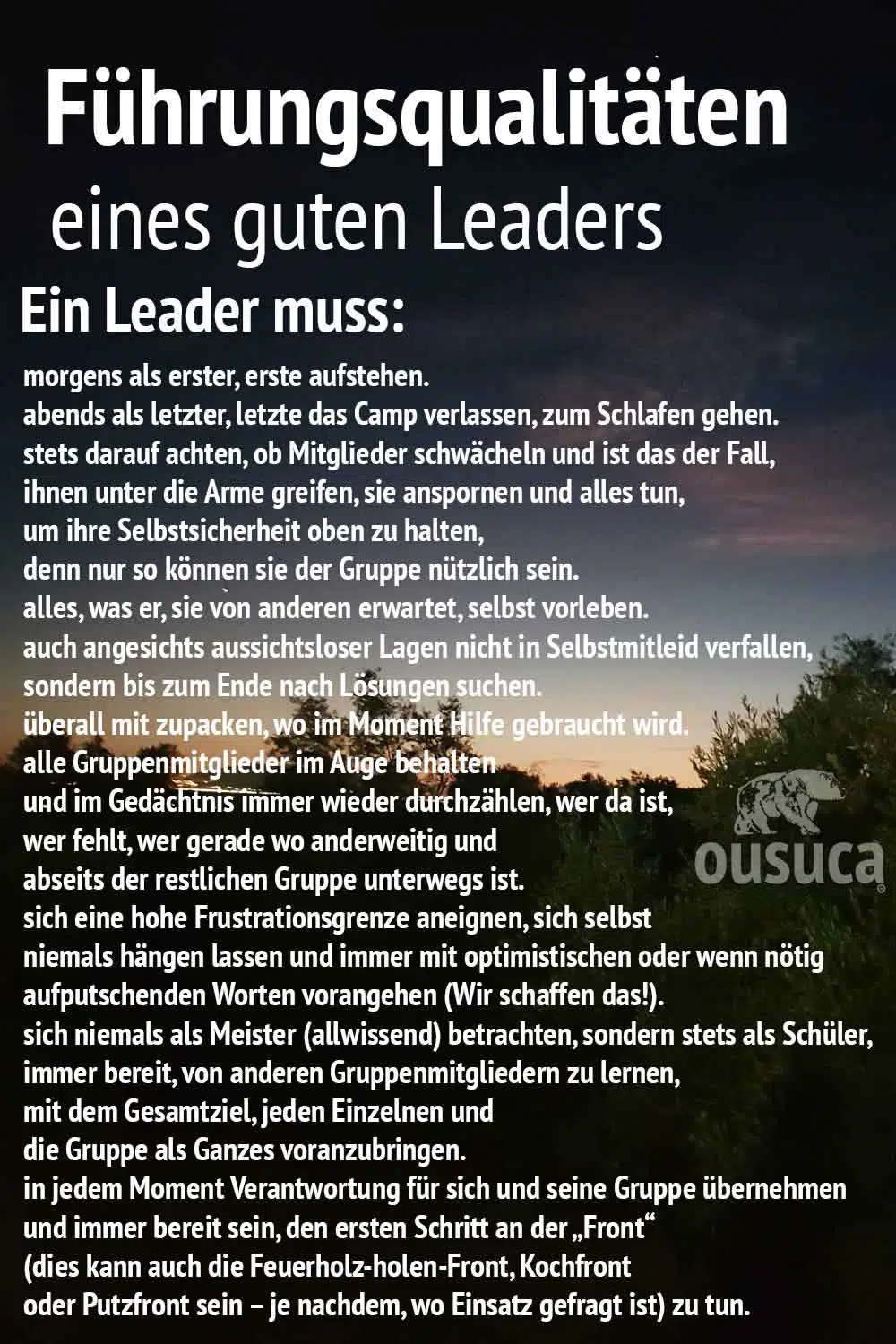 Führungsqualitäten Leader