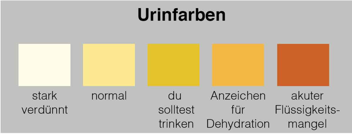 Urin trinken ja oder nein? Achte auf die Urinfarben!