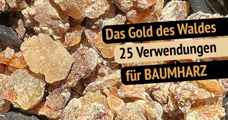 Wie Bekomme Ich Baumharz Aus Der Kleidung Der ultimative Baumharz Ratgeber + 25 Verwendungen / ousuca®