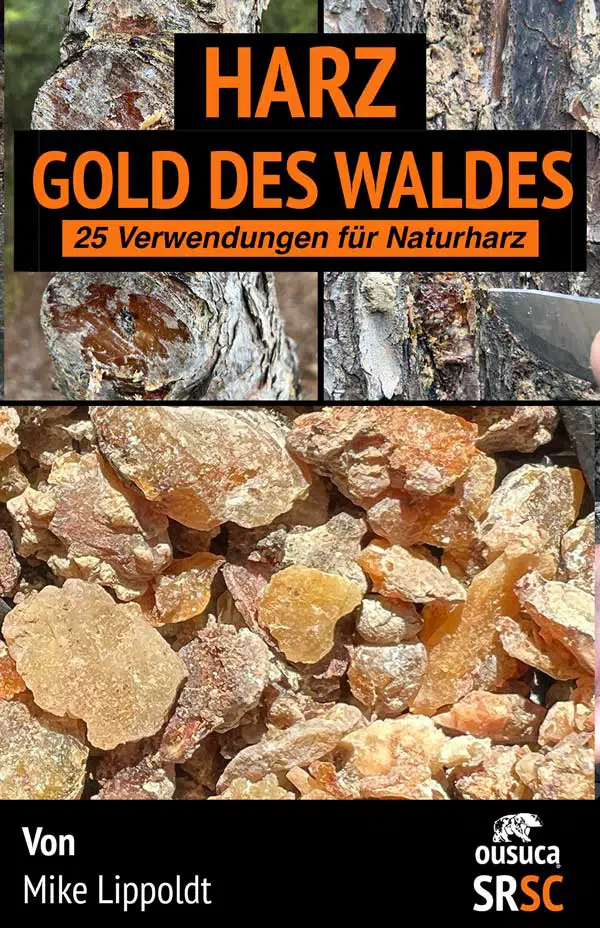 Harz: Gold des Waldes eBook
