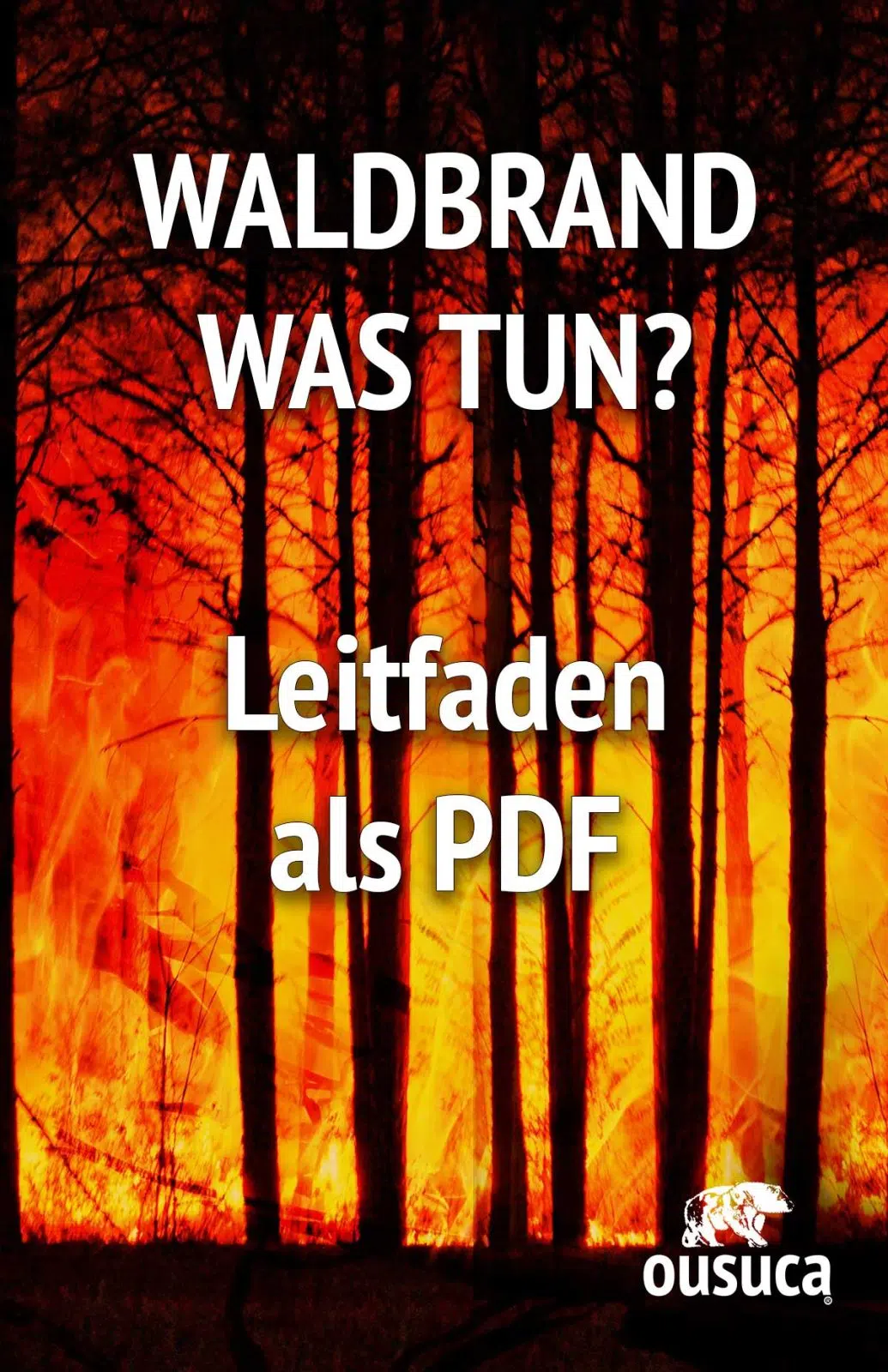 Waldbrand Verhalten PDF