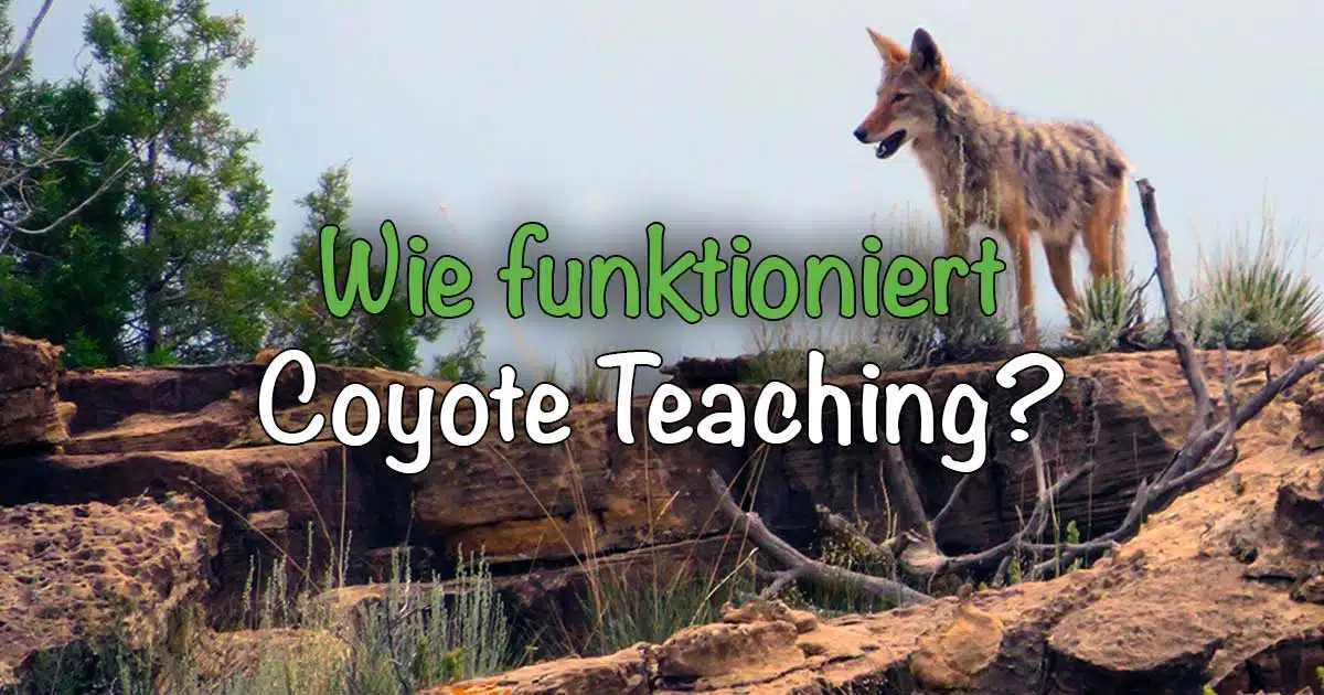 Wie funktioniert Coyote Teaching, Coyote Mentoring