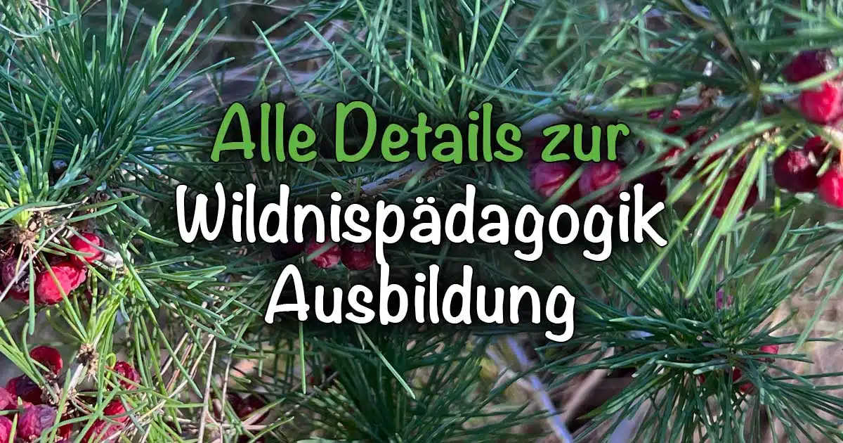 Wildnispädagogik Ausbildung online und offline