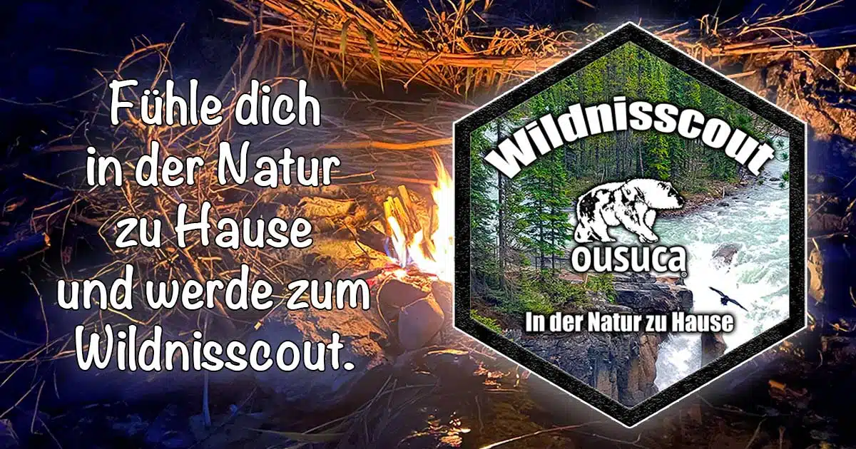 Wildnisscout Wildnistraining Programm in der Natur zu Hause