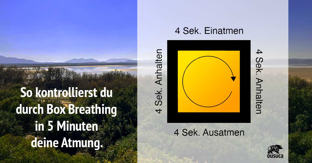 5 Minuten Atemtechnik, Box Breathing