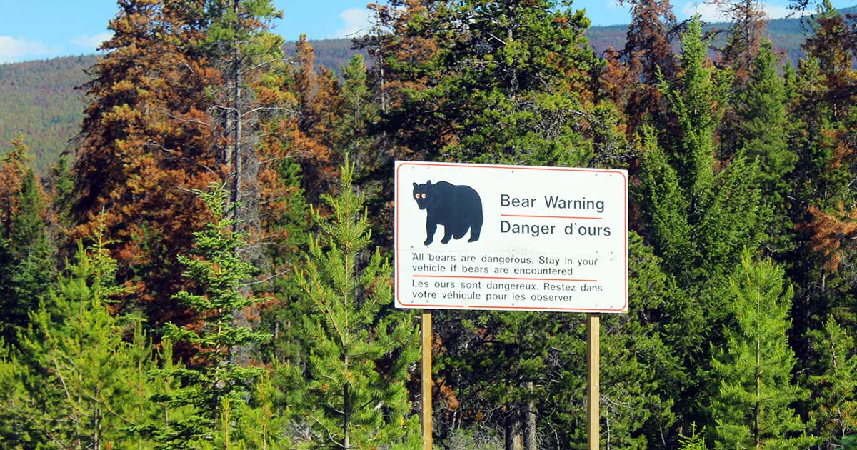 Bären Warnschilder beachten um Bärenangriffe zu vermeiden