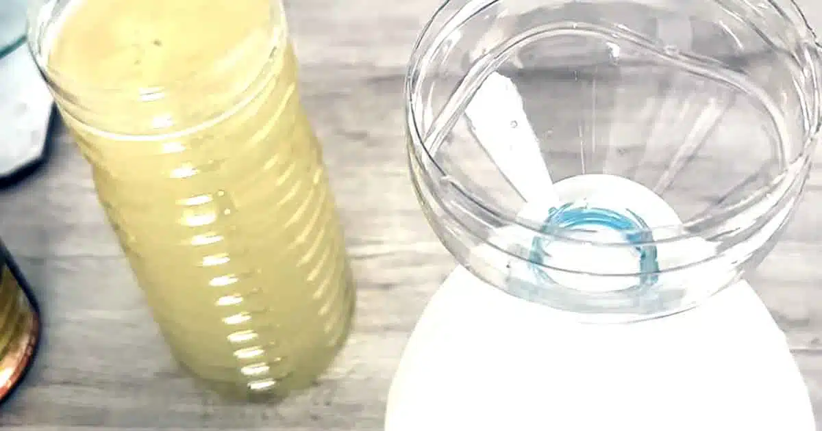 Kaliseifen Lauge zur Schädlingsbekämpfung selber machen, Schritt 2: Kaliseifenwasser in Druckzerstäuber füllen