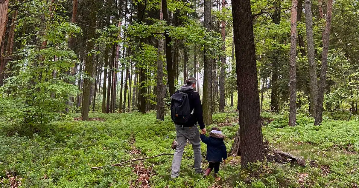 Wälder betreten in Deutschland ist laut Rechtslage erlaubt, unabhängig vom Eigentumsrecht