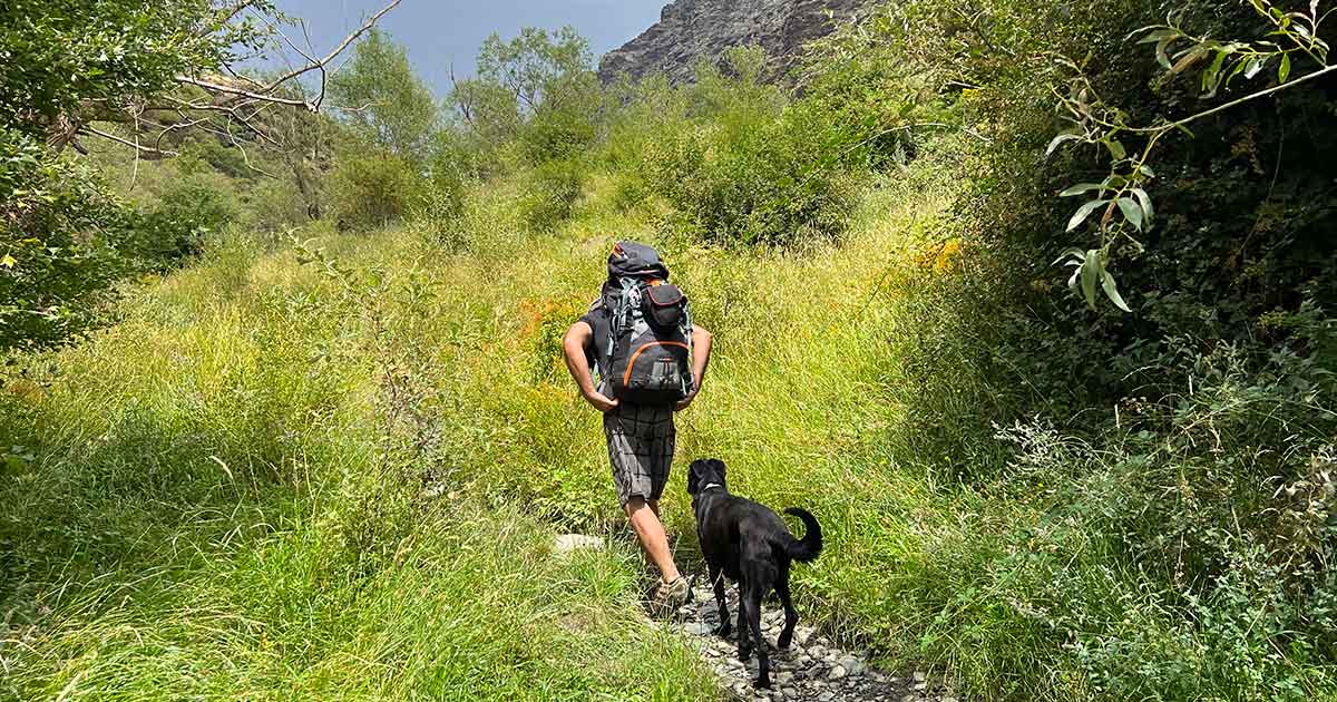 Wandern in Wald und Natur ist erlaubt auf markierten Wegen Wandern ist in den meisten Wäldern auf den markierten Wegen erlaubt
