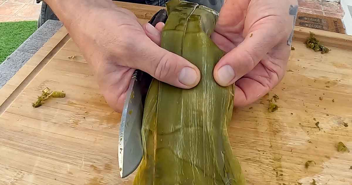 Fasern aus Yucca gewinnen durch Schaben