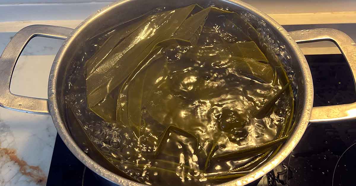 Kochen der Yucca Blätter