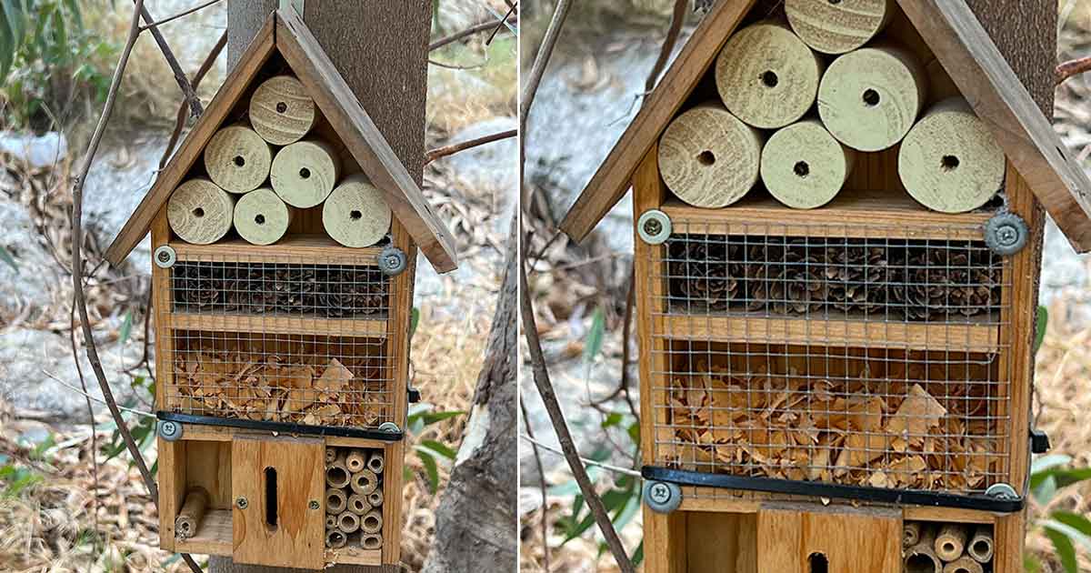 Ein Insektenhotel mit Kindern bauen als Bushcraft Idee