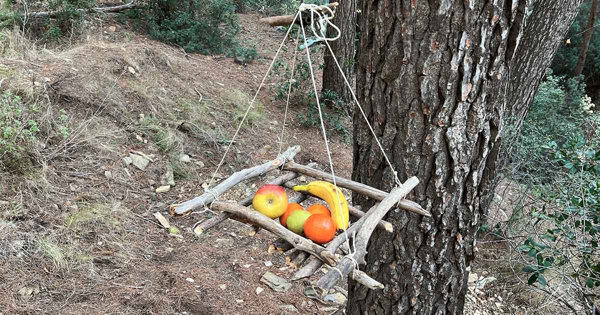 Korb für die Aufbewahrung von Nahrungsmitteln im Wald