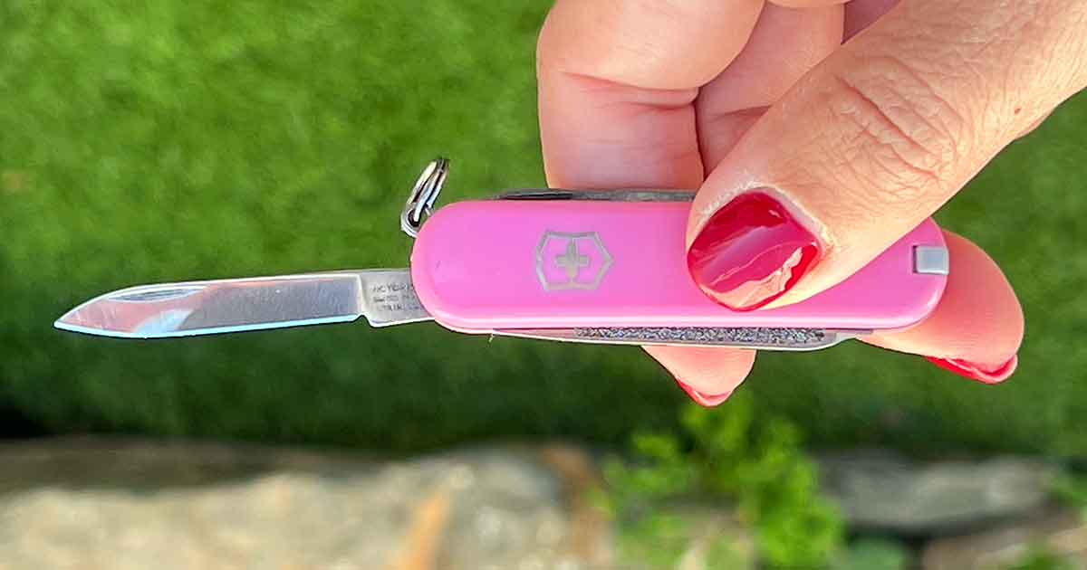 Victorinox Classic SD Taschenmesser in Pink
